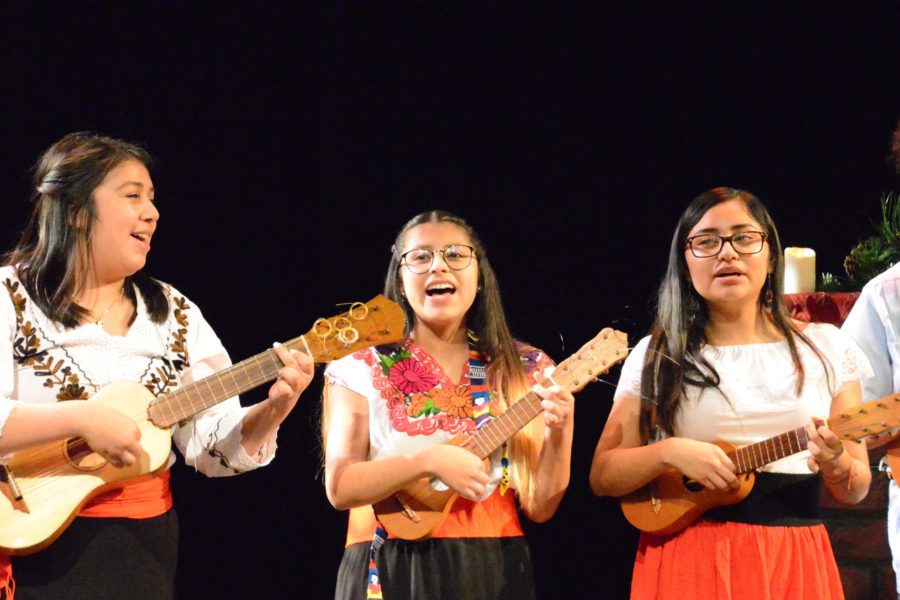 Three students play jarana and sing