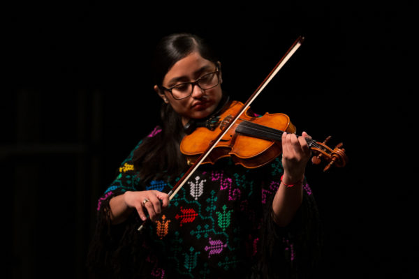 Violin: Harp Workshop